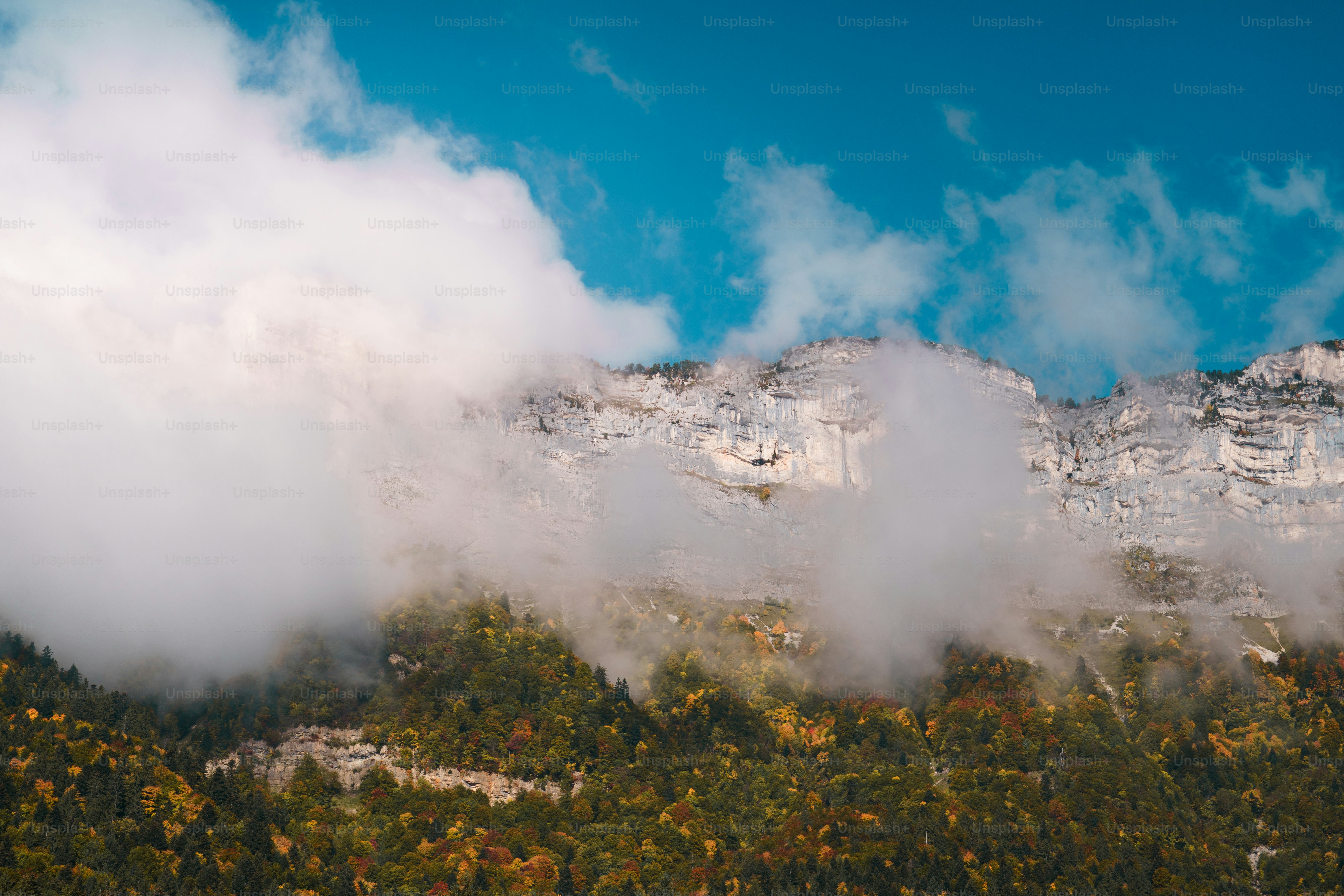 A mountain covered in clouds and trees under a blue sky photo – Forest ...