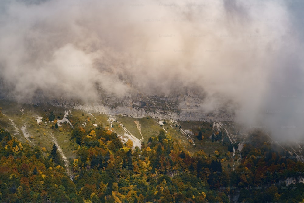 a mountain covered in clouds and trees