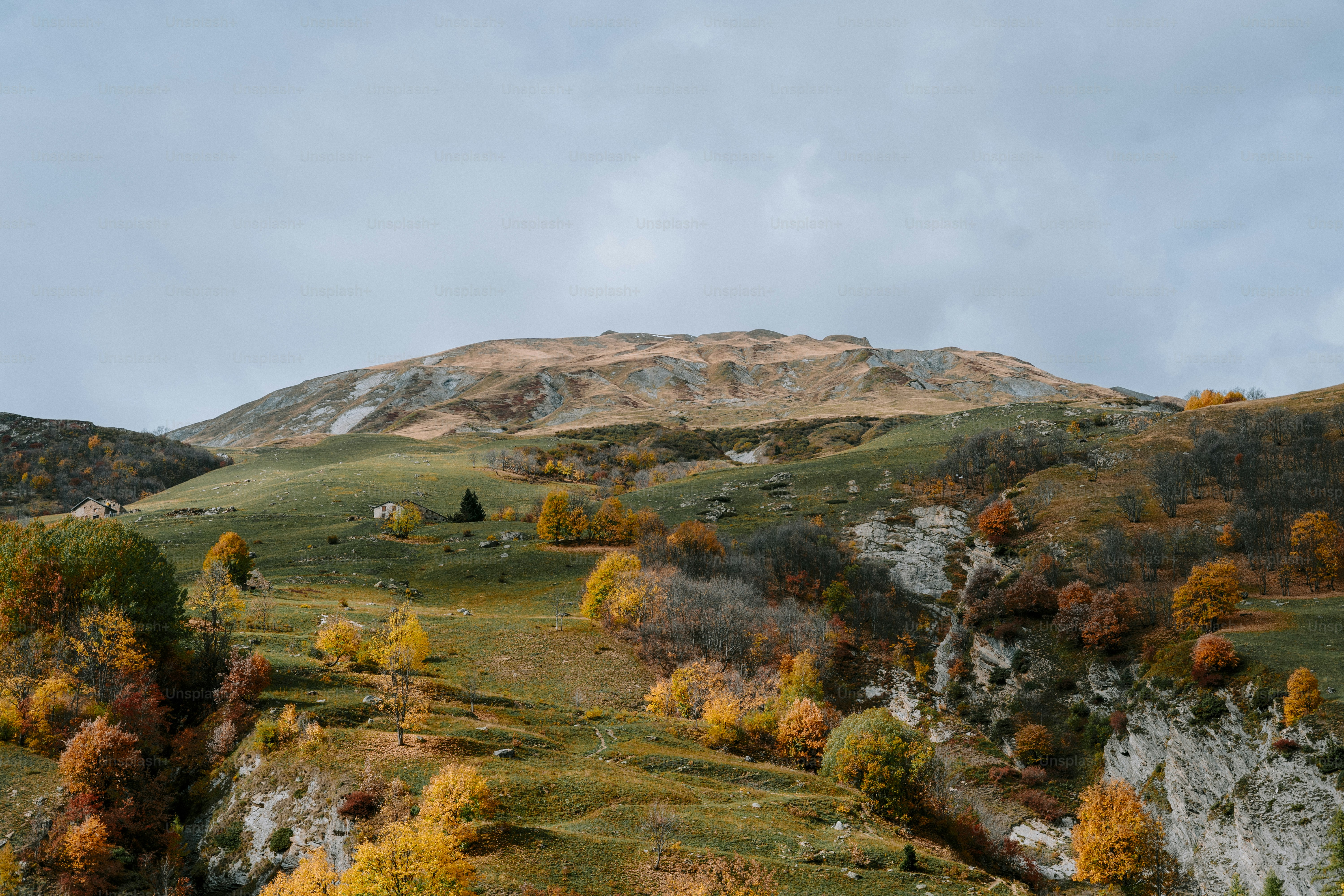 a scenic view of a mountain with trees in the foreground