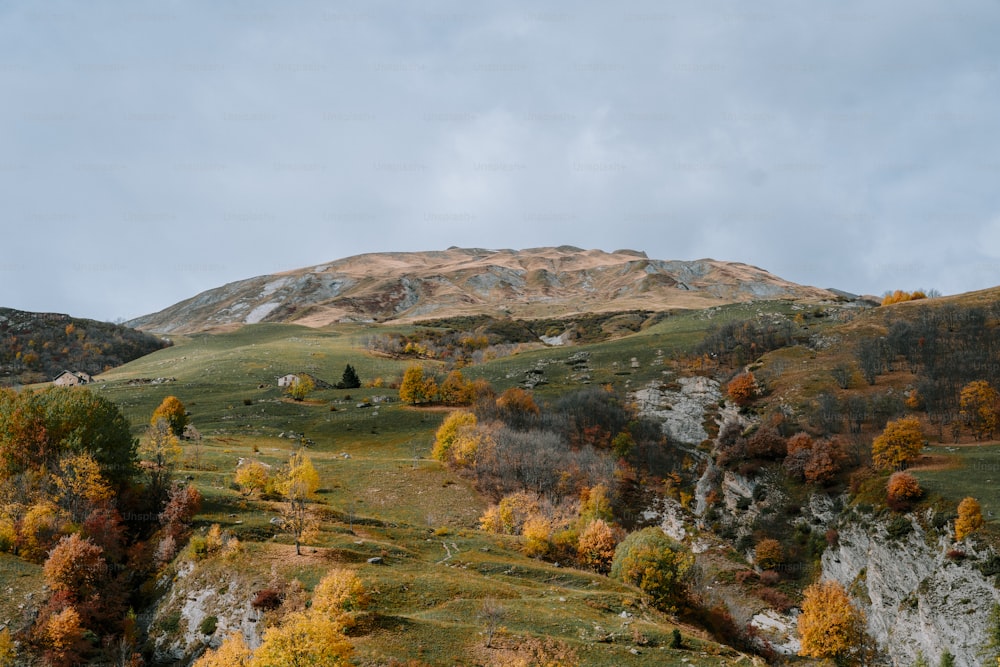 a scenic view of a mountain with trees in the foreground