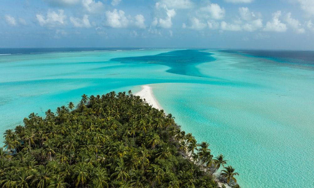 an aerial view of a tropical island with palm trees