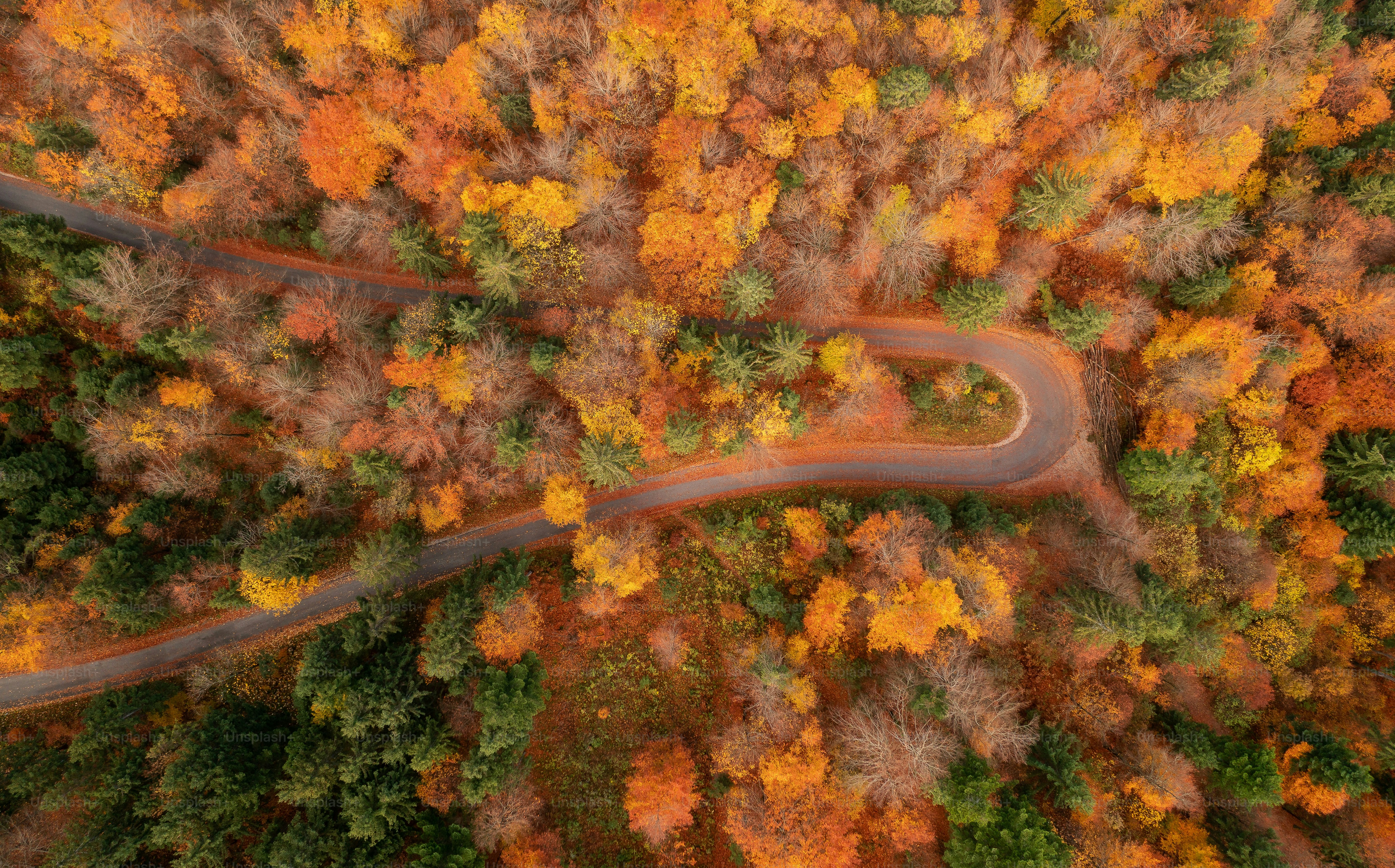 an aerial view of a winding road surrounded by trees