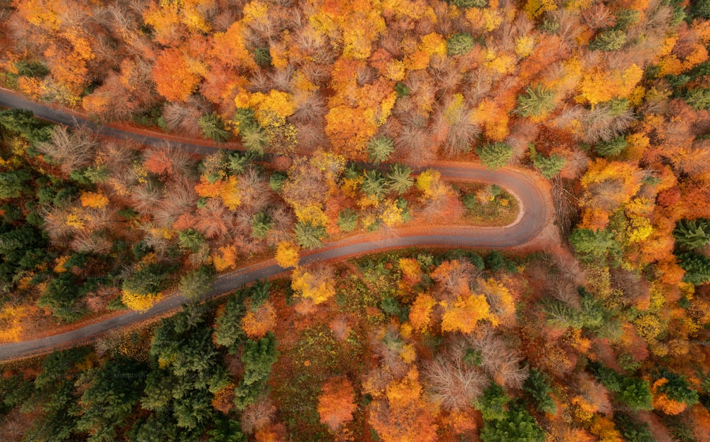 an aerial view of a winding road surrounded by trees