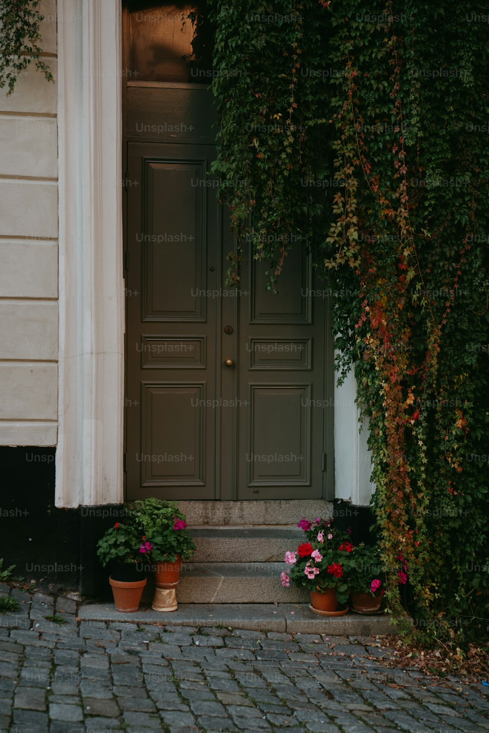 Un par de plantas en macetas sentadas frente a una puerta