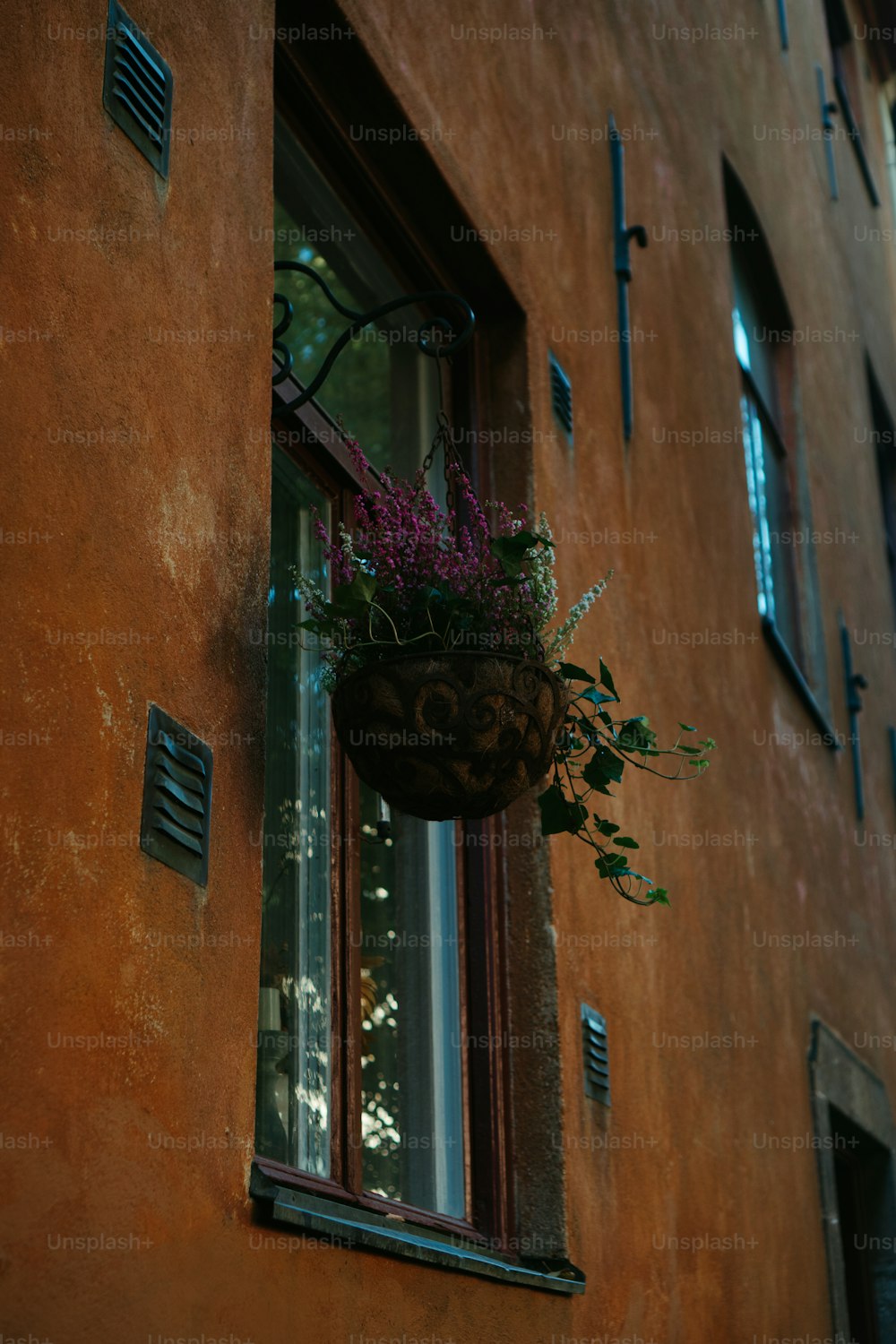 eine Topfpflanze, die an der Seite eines Gebäudes hängt