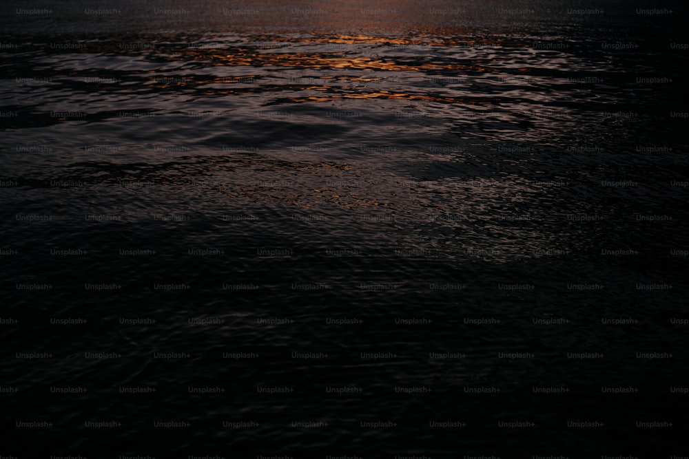 Il sole sta tramontando sull'acqua nell'oceano
