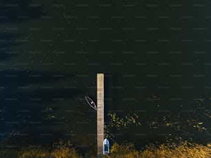 Una persona parada en un muelle junto a un cuerpo de agua