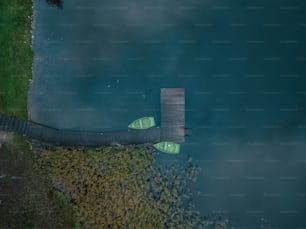 un couple de canots verts assis au-dessus d’un plan d’eau