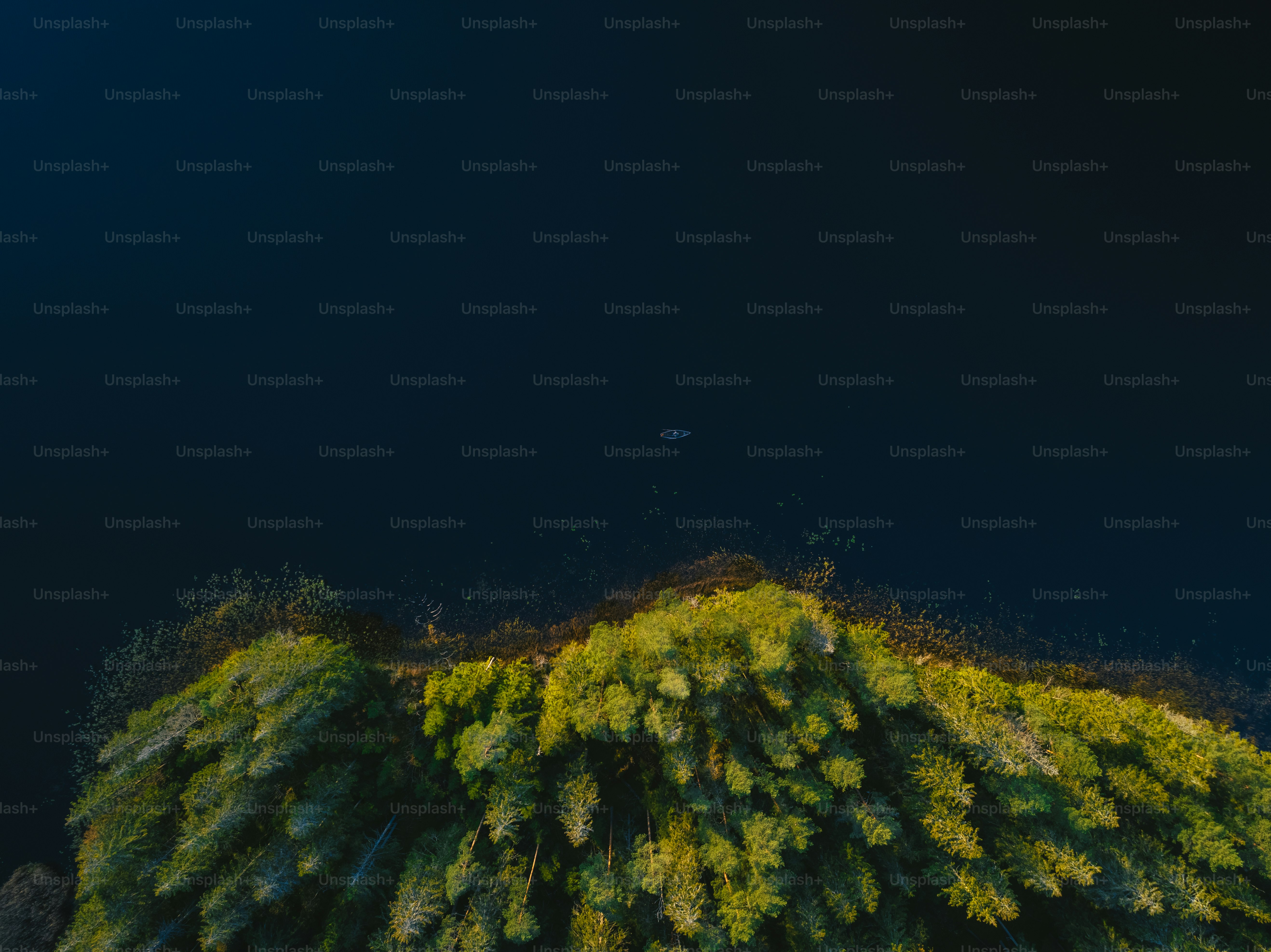 an aerial view of a tree covered hill