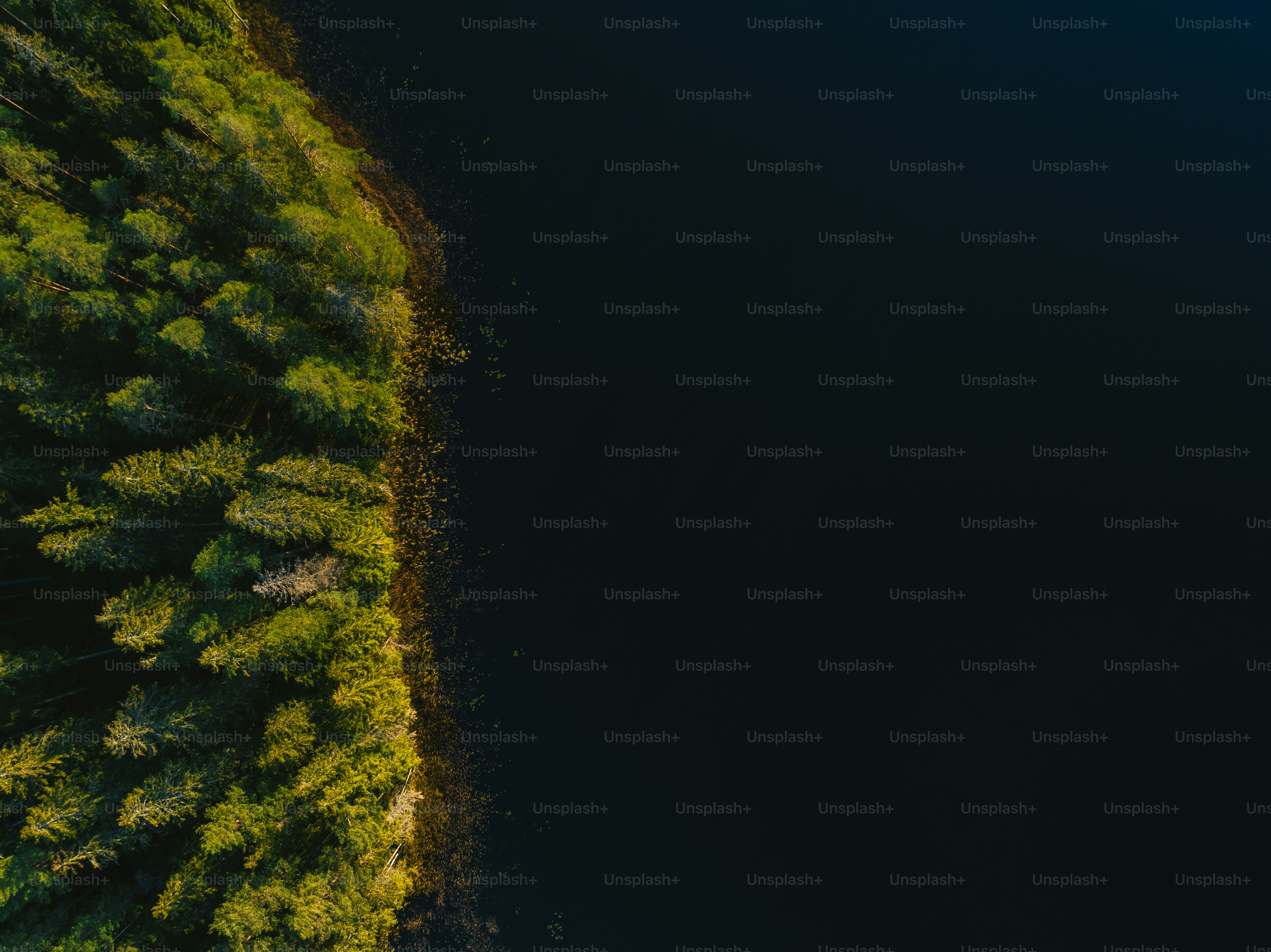 SATURDAY SIX Artist Spotlight: The Theme Park Artwork of Charlie MacWilliams (Muppets, Mashups, Country Bears and MORE!)