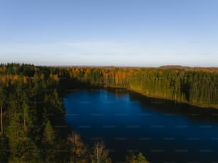 a large body of water surrounded by trees