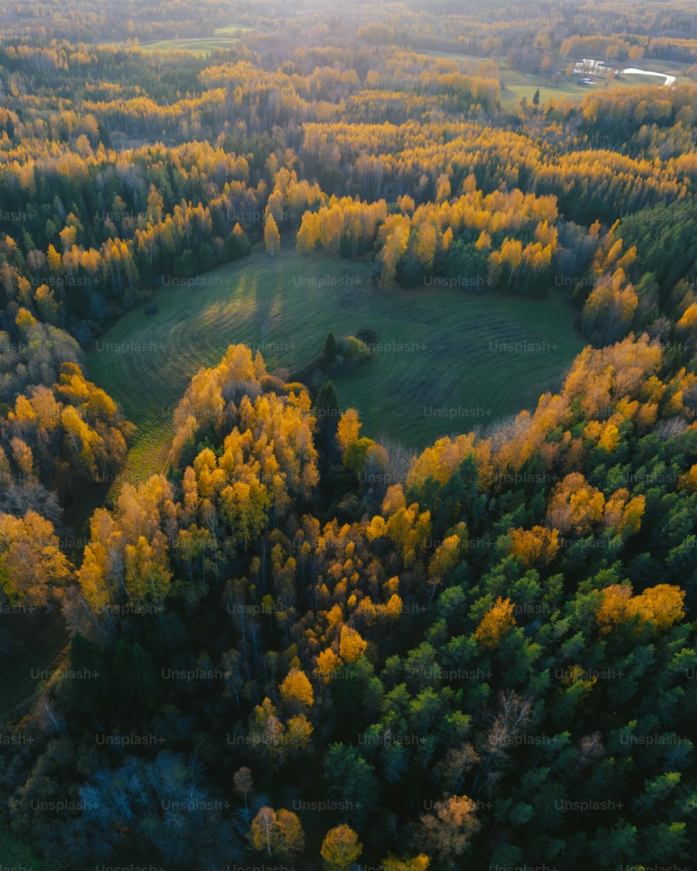 an aerial view of a green field surrounded by trees