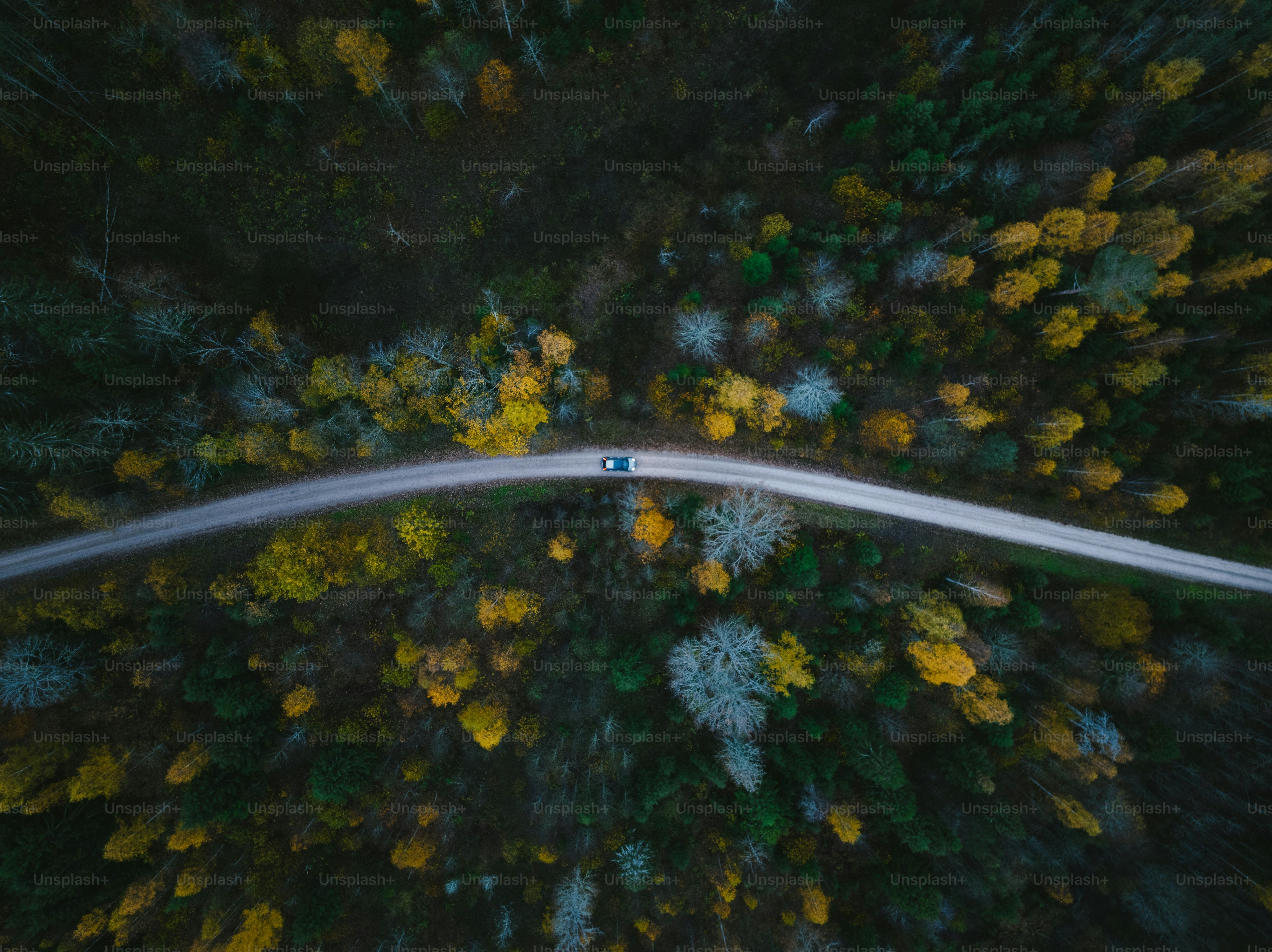eine Luftaufnahme einer Straße mitten in einem Wald