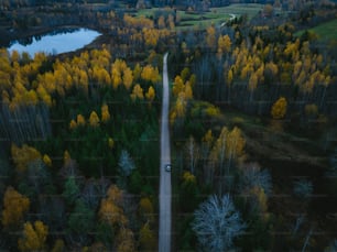 an aerial view of a road in the middle of a forest