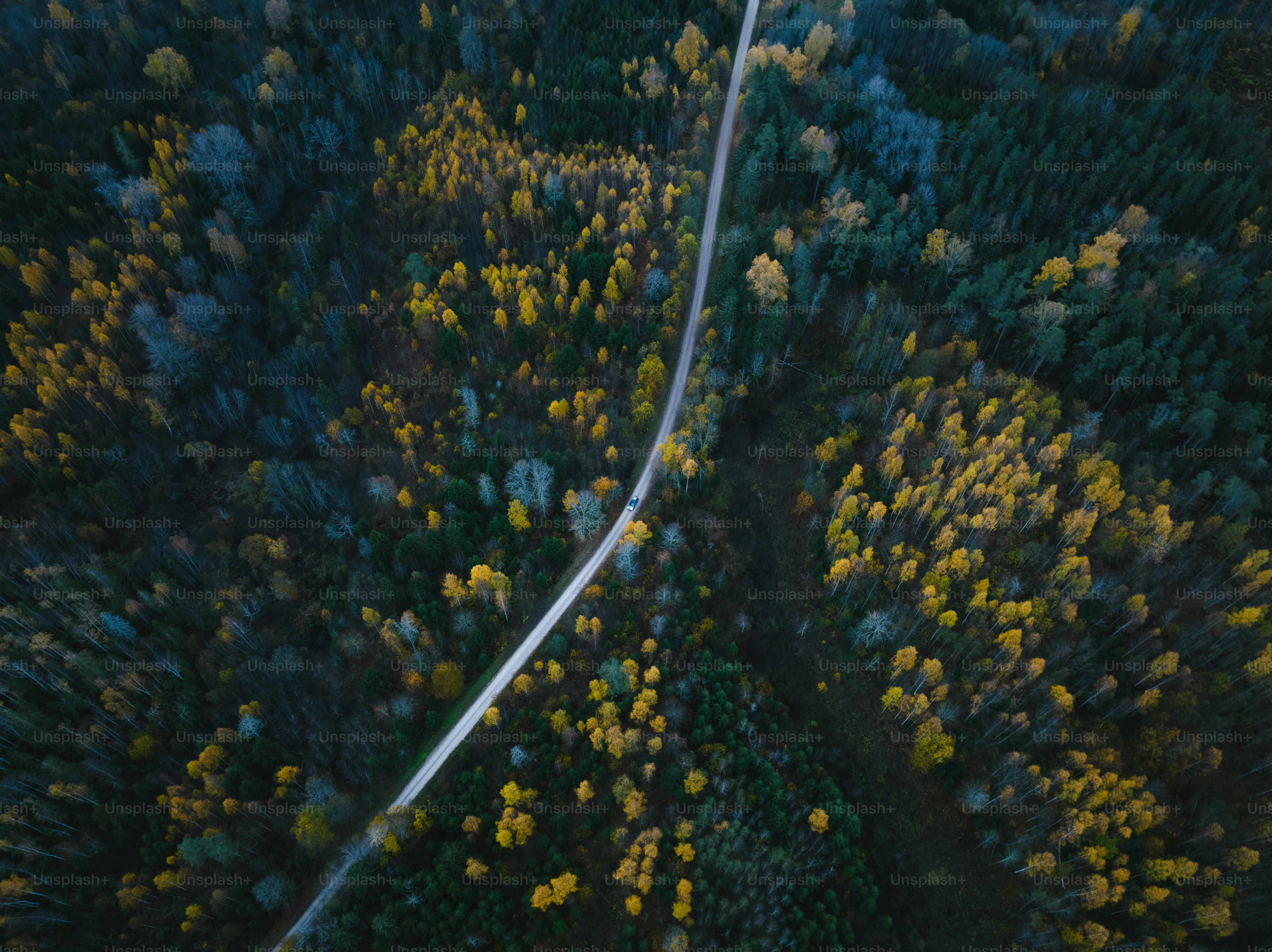 an aerial view of a road in the middle of a forest