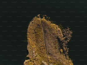 an aerial view of a tree covered hill
