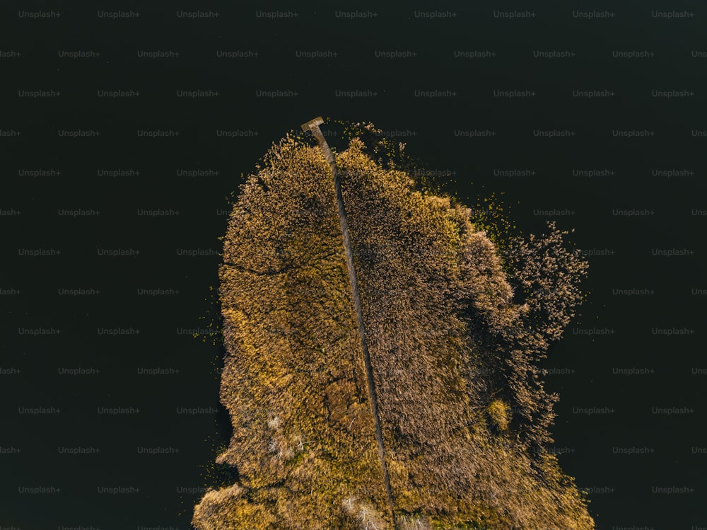 an aerial view of a tree covered hill