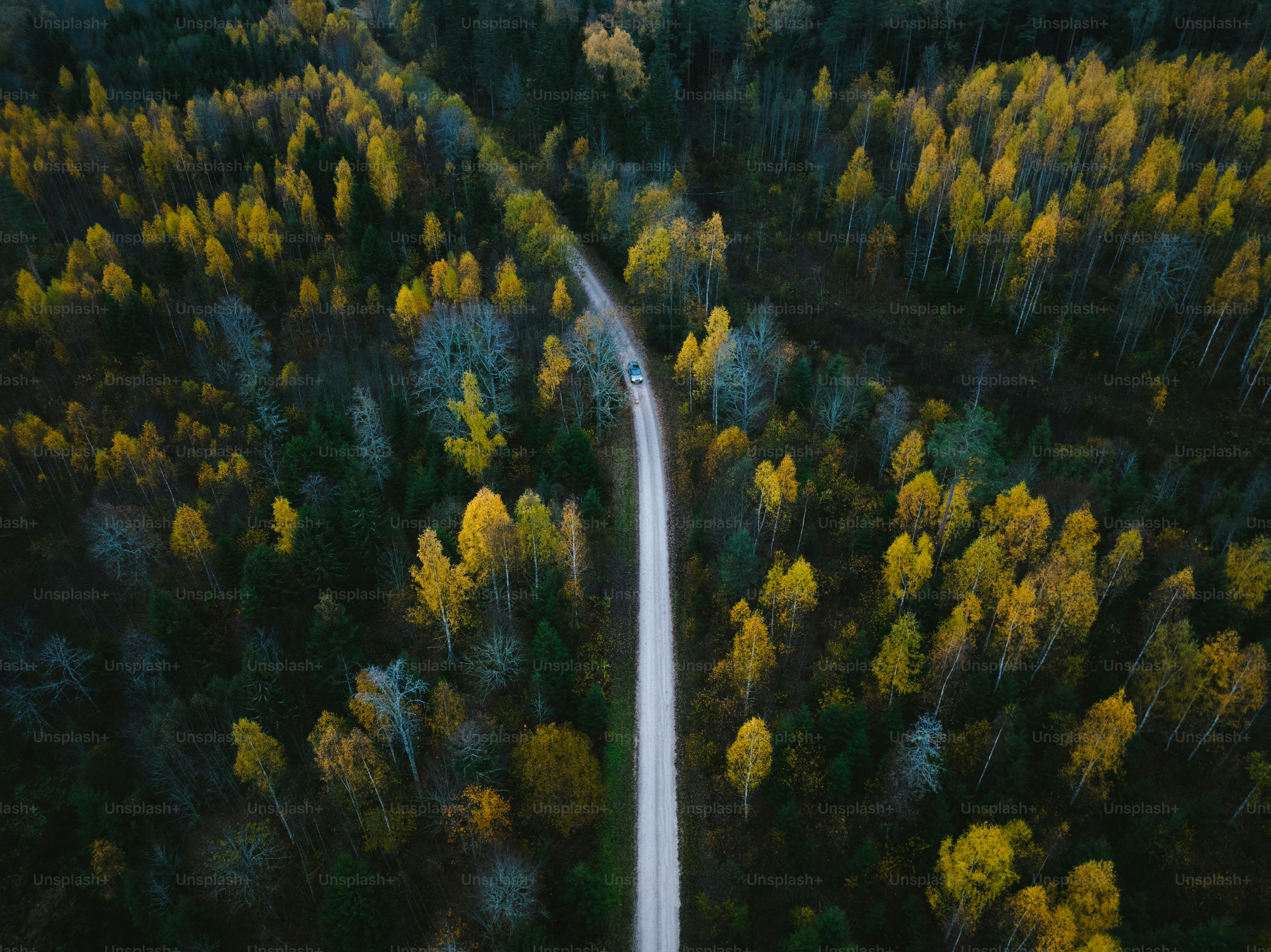 an aerial view of a road in the middle of a forest
