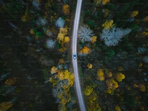 una vista aerea di un'auto che guida attraverso una foresta