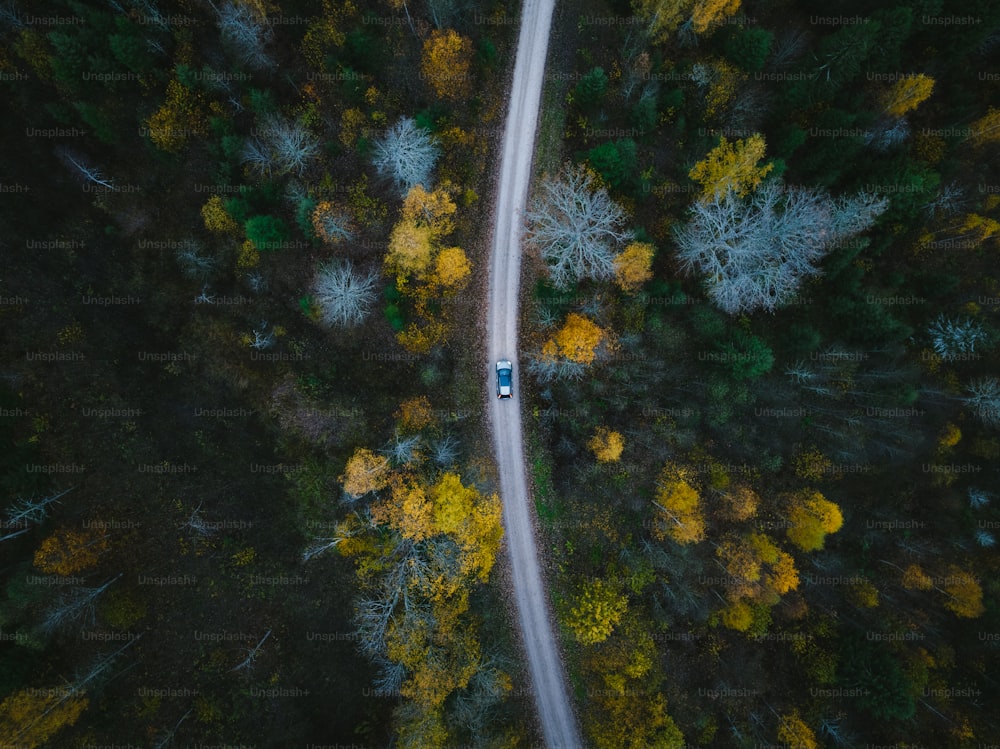 Eine Luftaufnahme eines Autos, das durch einen Wald fährt