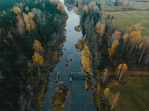 a river running through a lush green forest