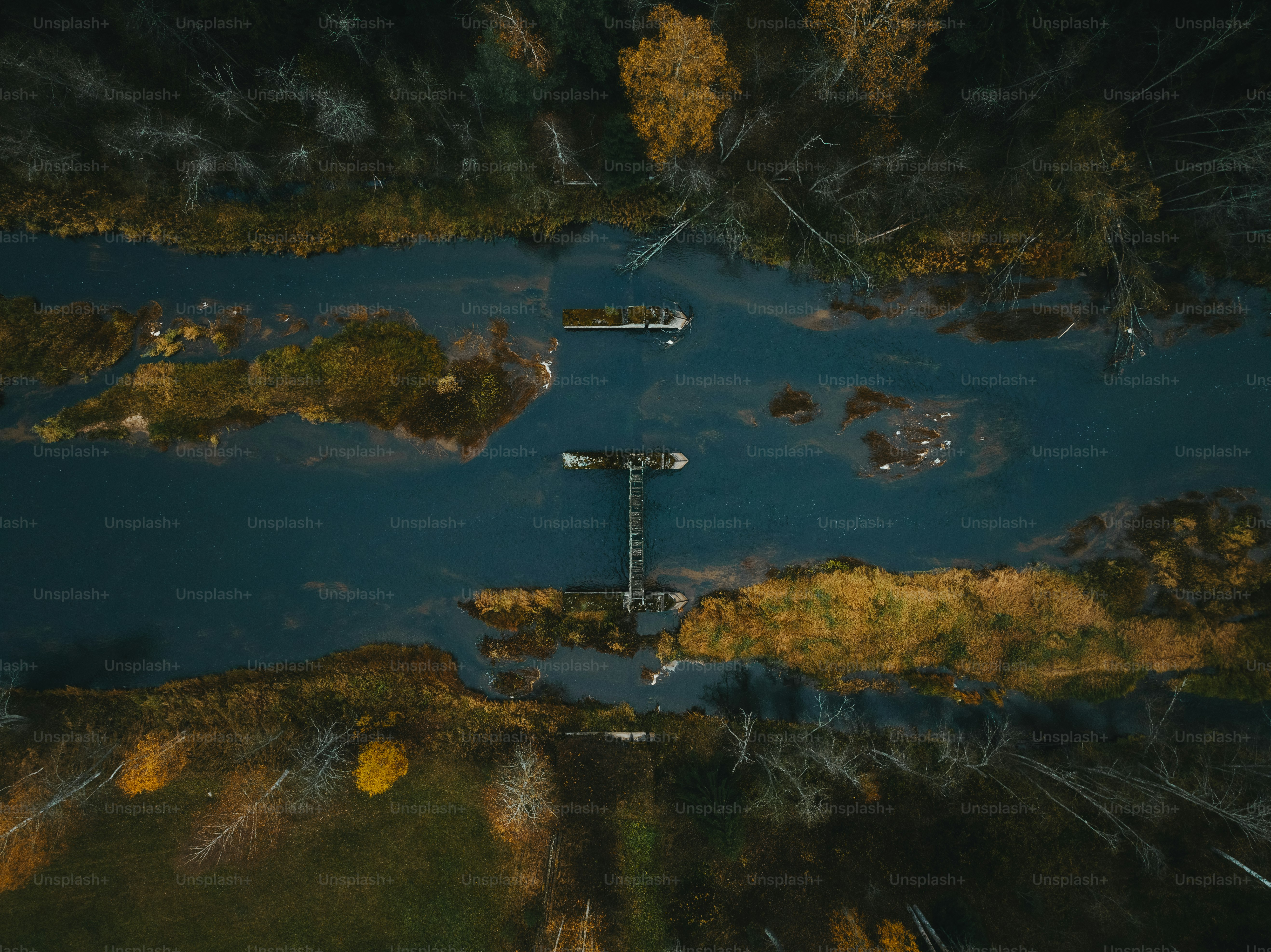 an aerial view of a body of water surrounded by trees