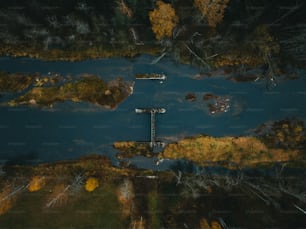 una veduta aerea di uno specchio d'acqua circondato da alberi