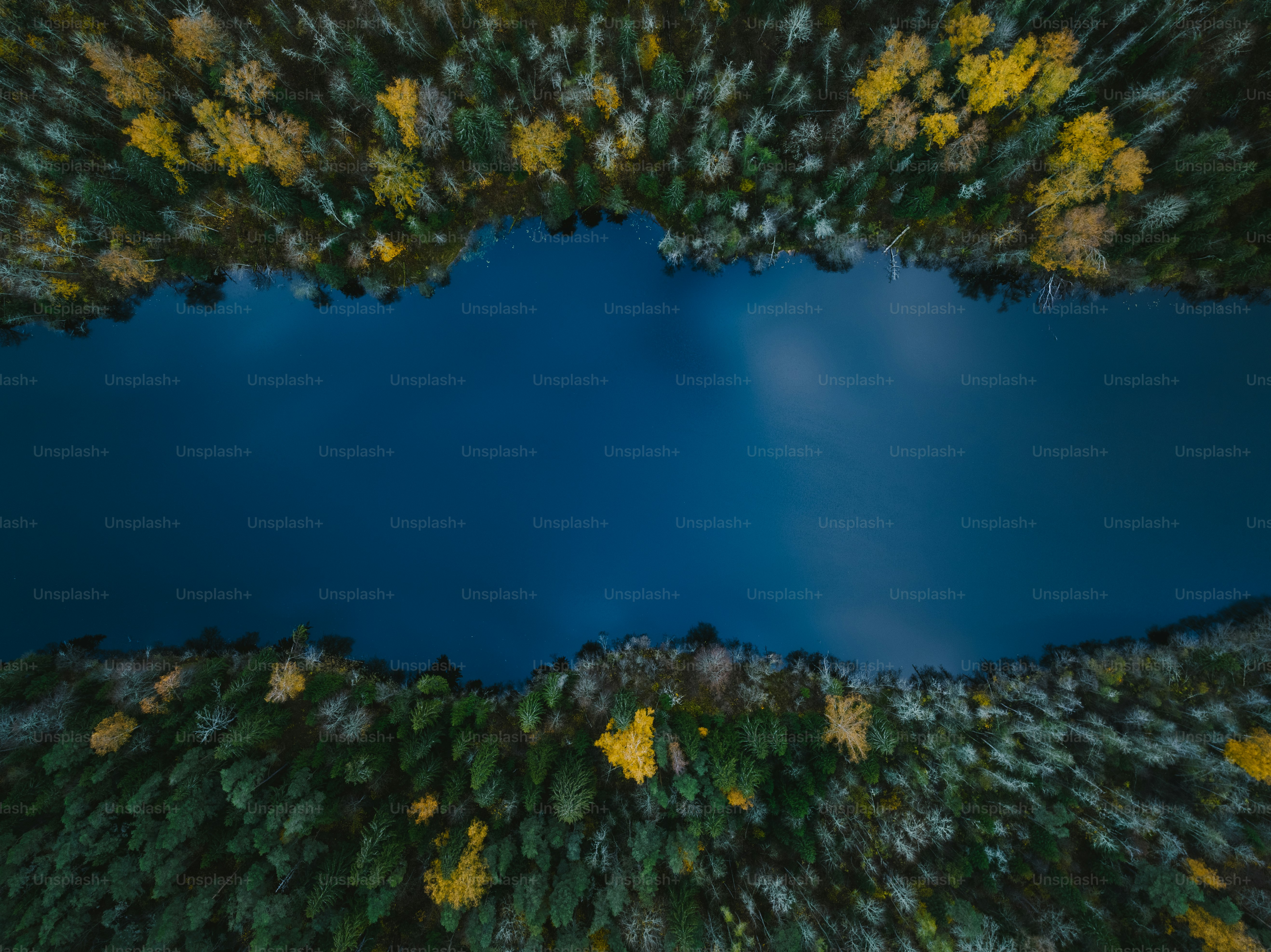 an aerial view of a lake surrounded by trees