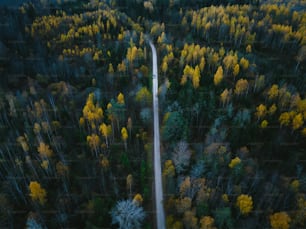 an aerial view of a road in the middle of a forest