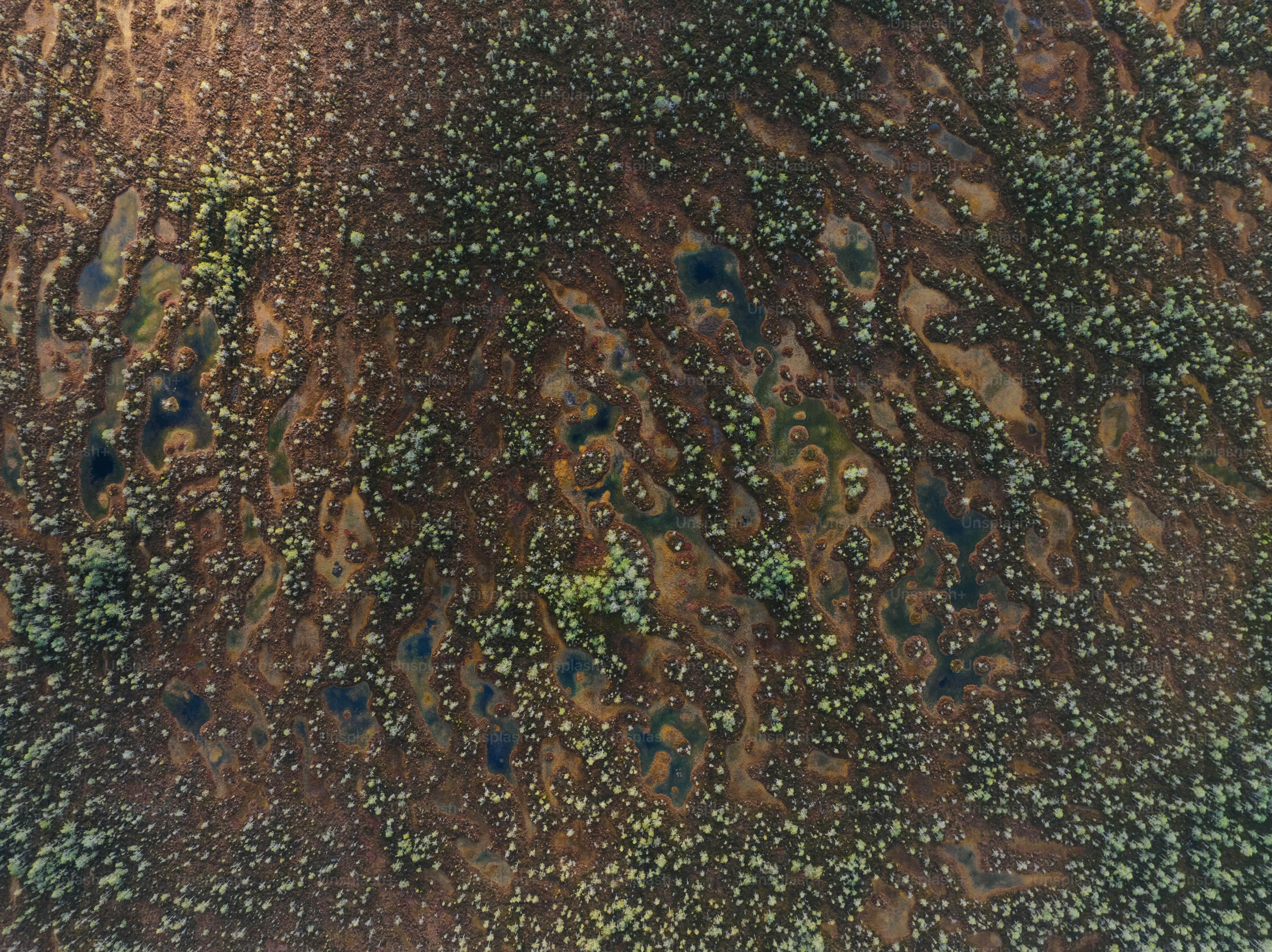 an aerial view of a dirt field with trees