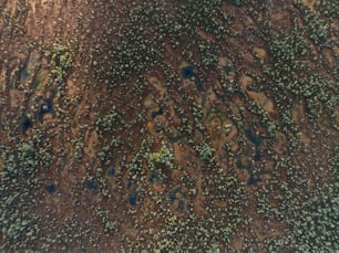 une vue aérienne d’un champ de terre avec des arbres