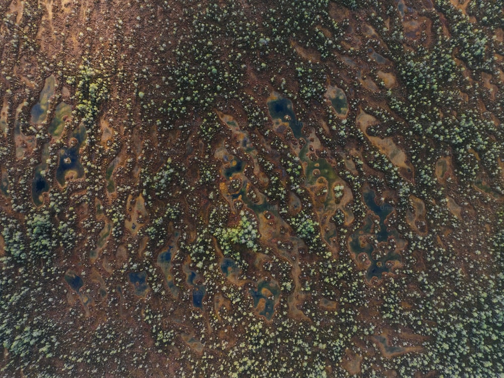 Una vista aérea de un campo de tierra con árboles