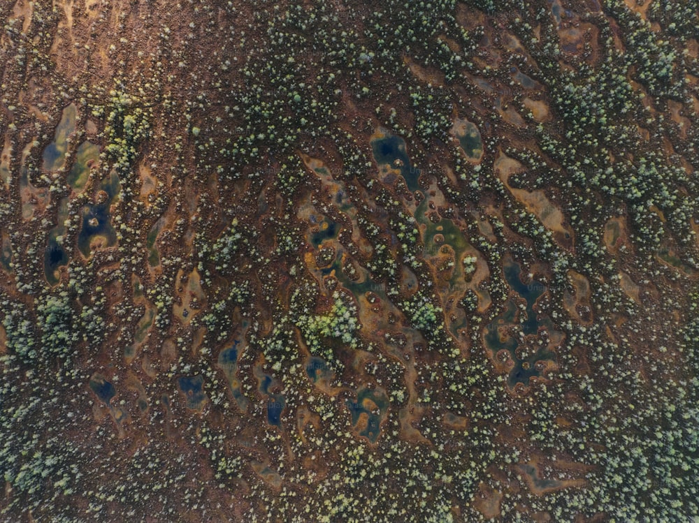 an aerial view of a dirt field with trees