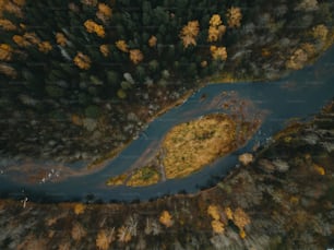 an aerial view of a river running through a forest