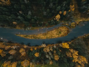 an aerial view of a river surrounded by trees