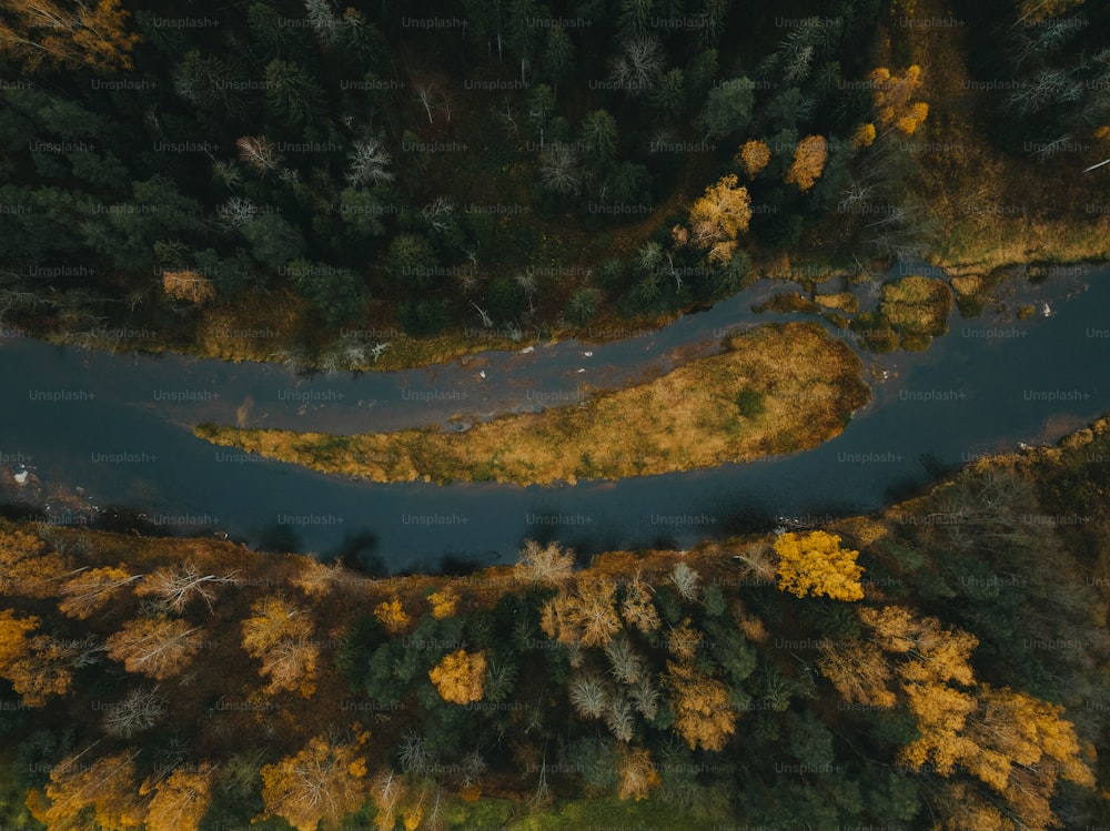 an aerial view of a river surrounded by trees