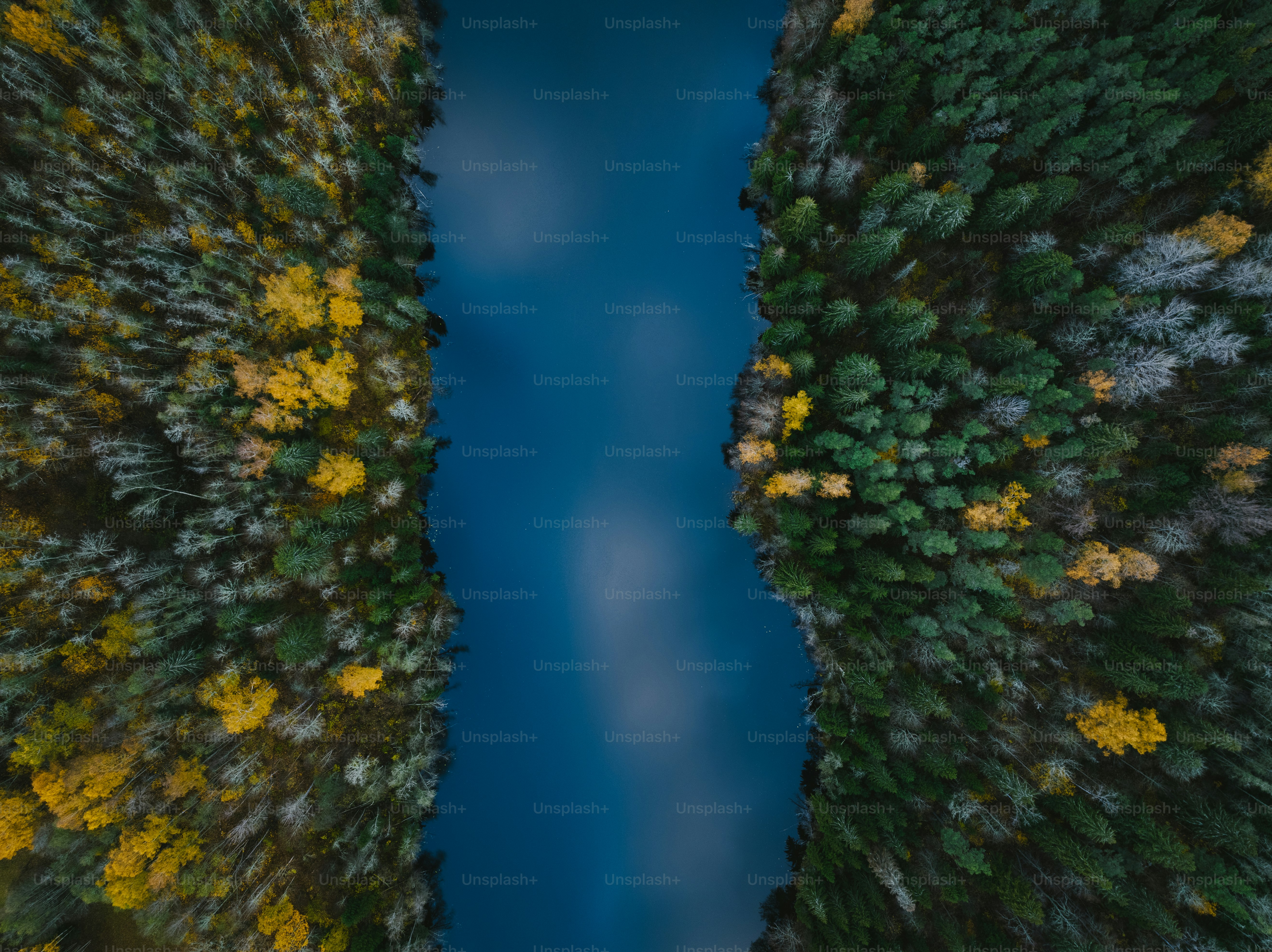 an aerial view of a river surrounded by trees