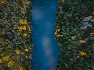 an aerial view of a river surrounded by trees