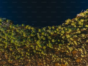 an aerial view of a tree covered hillside