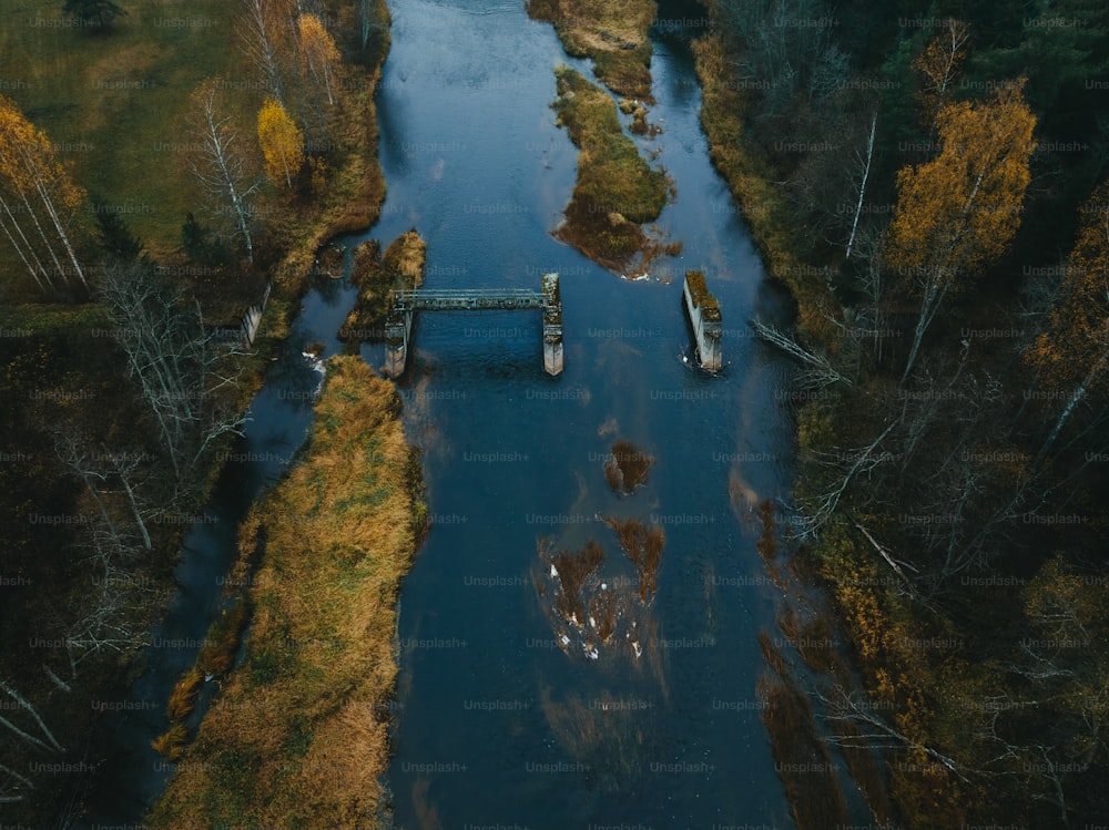 an aerial view of a body of water surrounded by trees