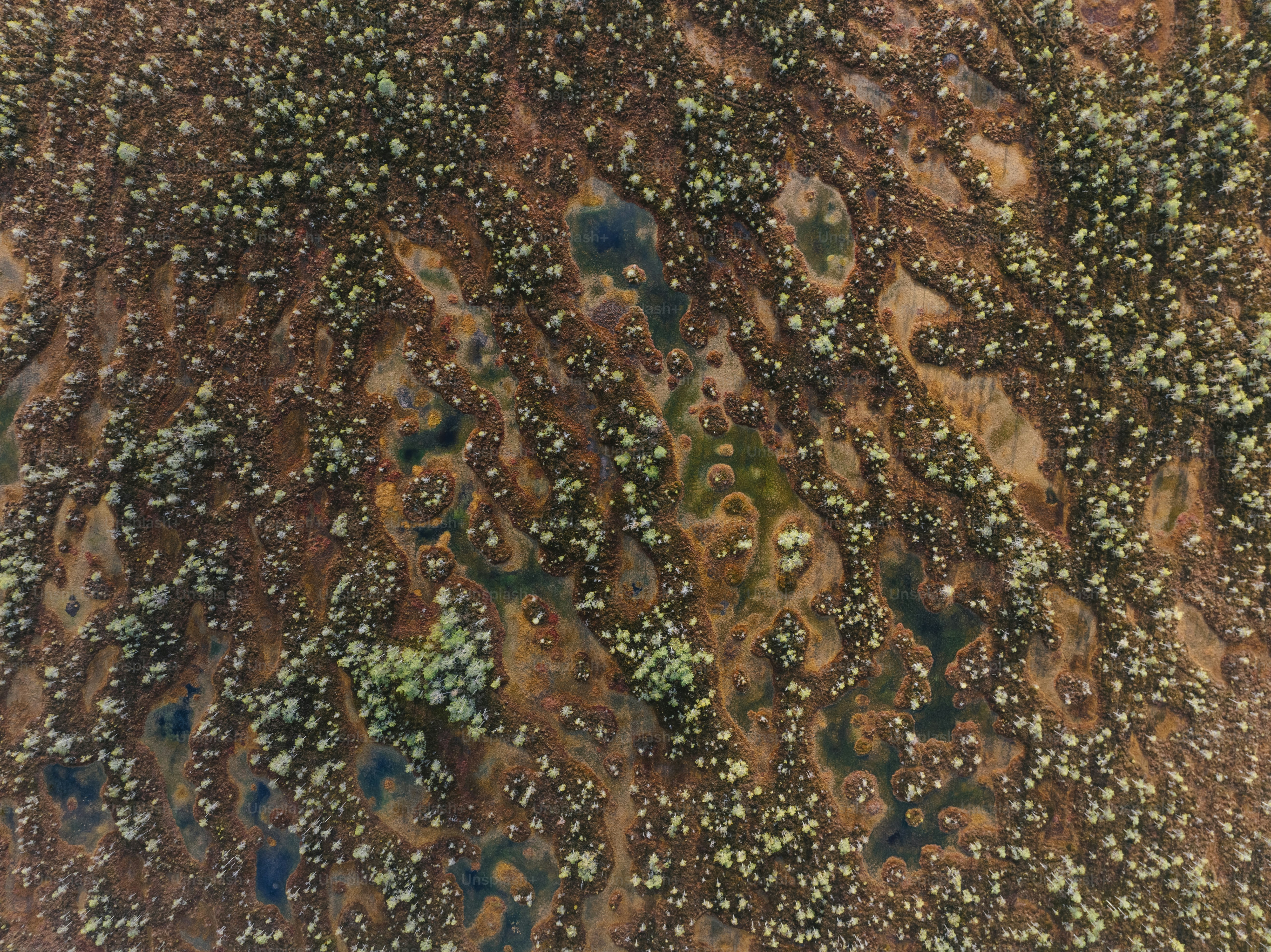 an aerial view of a dirt field with small trees