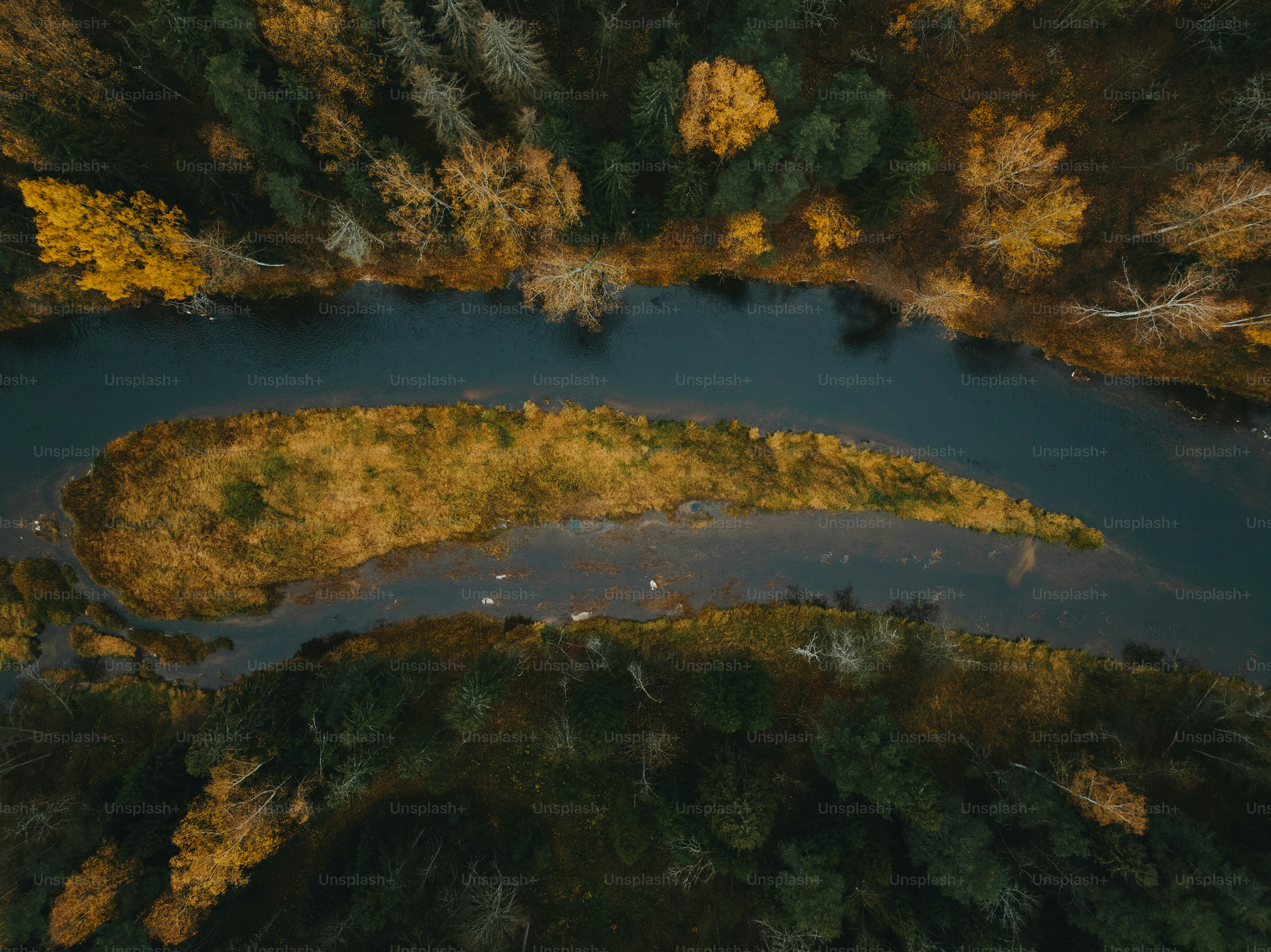 an aerial view of a river surrounded by trees