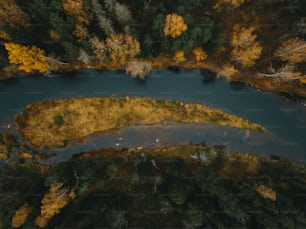 an aerial view of a river surrounded by trees