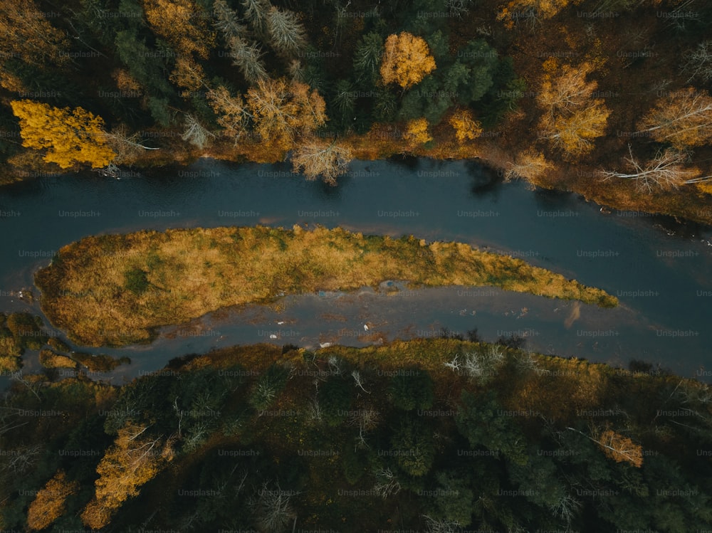 木々に囲まれた川の空撮