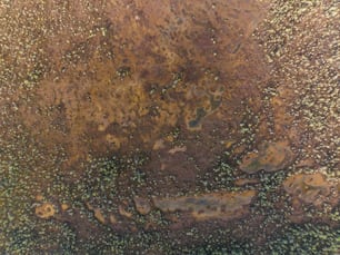 Una vista de cerca de una sustancia marrón