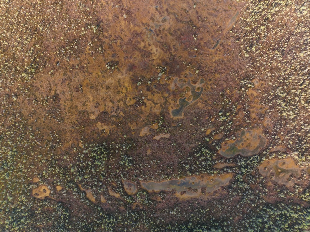 Una vista de cerca de una sustancia marrón
