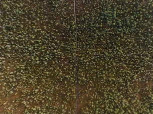 an aerial view of a field with trees