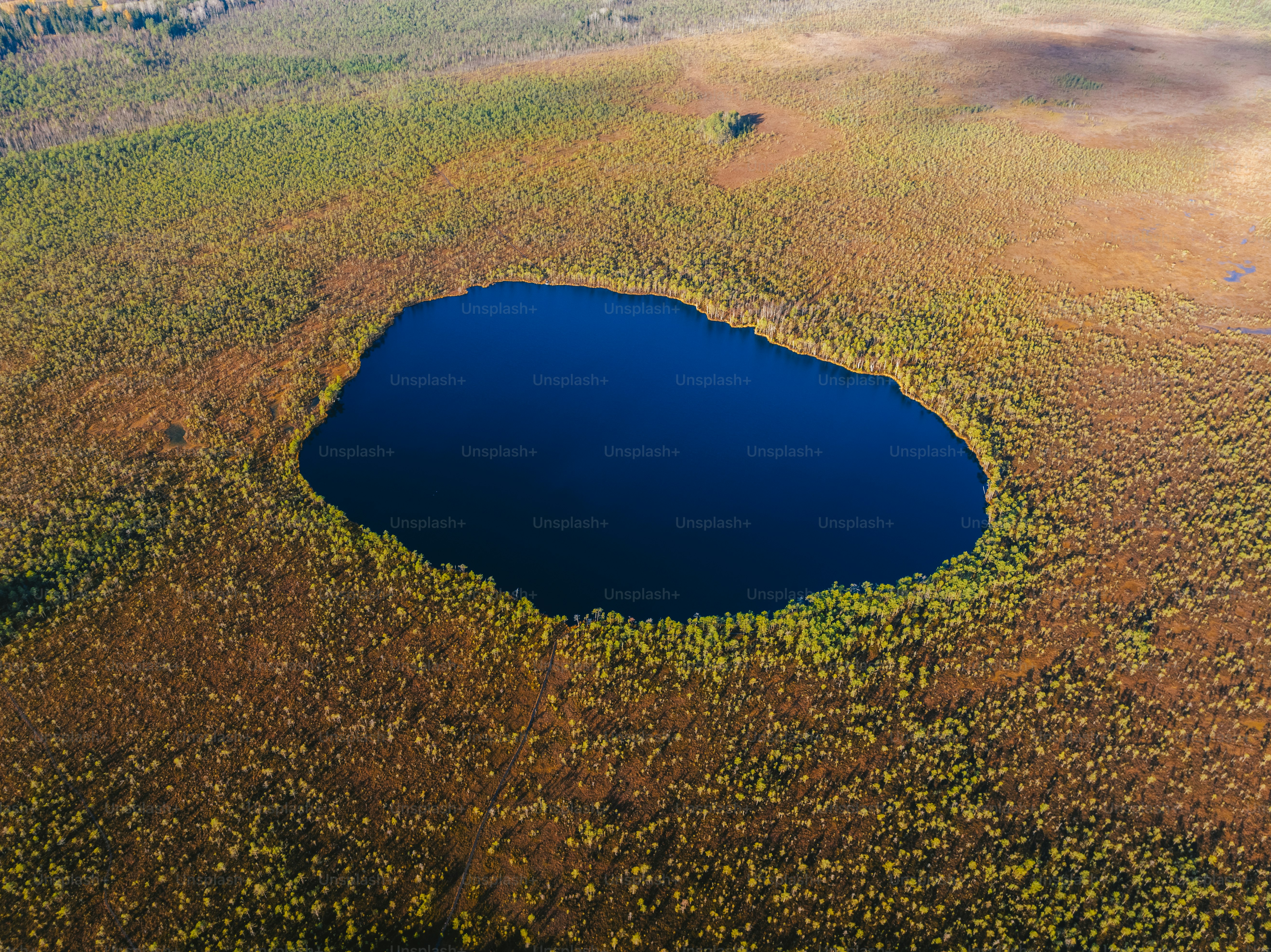 an aerial view of a lake surrounded by trees