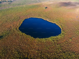 una veduta aerea di un lago circondato da alberi