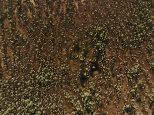 an aerial view of a field with trees and grass